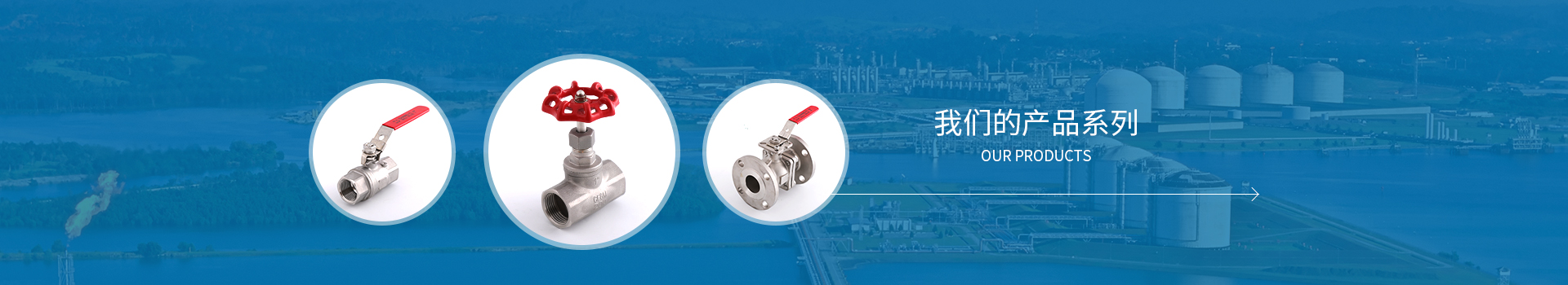 =法蘭Y型過濾器